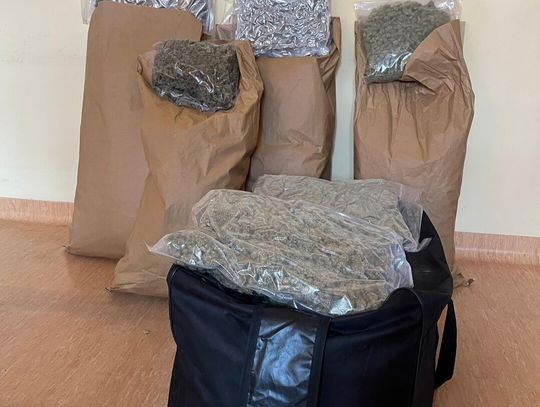 Blisko 50 kilogramów narkotyków zabezpieczonych przez policję. 24 i 32-latek aresztowani