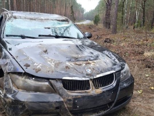 BMW dachowało na łuku drogi. 18-letnia kierująca zaledwie pół godziny wcześniej kupiła auto