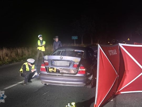 BMW potrąciło sarnę. Zwierzę wpadło do środka, zginęła pasażerka