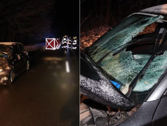 BMW wjechało w faceta idącego krajówką. 38-latek zmarł na miejscu [FOTO]