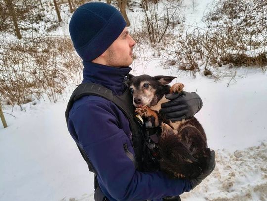 Bohaterska akcja policjanta. Uratował psa uwięzionego w betonowym kanale Bohaterska akcja policjanta. Uratował psa uwięzionego w betonowym kanale