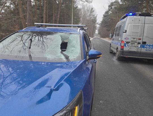 Bryła lodu wpadła do samochodu przez przednią szybę i uderzyła w kierowcę. Mężczyzna trafił do szpitala