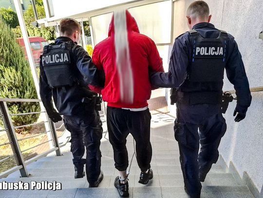 Brutalny napad na taksówkarza. 22-latek użył gazu, ukradł auto i rozbił je na drzewie