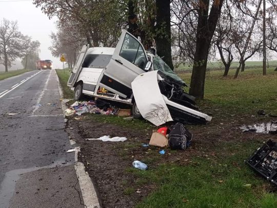 Bus z dziesięcioma pasażerami wjechał w drzewo. Nie żyją dwie kobiety i dziecko. FOTO