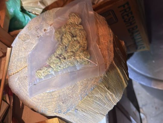 Był trzeźwy, ale przyznał, że palił marihuanę, a kilka miesięcy wcześniej brał amfetaminę. Policjanci użyli narkotestu