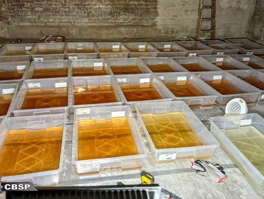 CBŚP rozbiło potężny narkotykowy kartel. Przejęto ponad tonę syntetycznych narkotyków