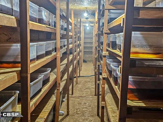 CBŚP zlikwidowało dwa laboratoria syntetycznych narkotyków. Przejęte ponad 2 tony klofedronu