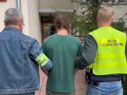 Celnicy wykryli ponad 3 kg marihuany w paczkach z Hiszpanii i USA. Trzech mężczyzn w areszcie