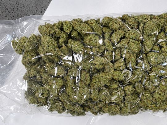 Celnicy zatrzymali paczkę z Kanady. Zamiast narzędzi w środku było ponad 10 kg marihuany