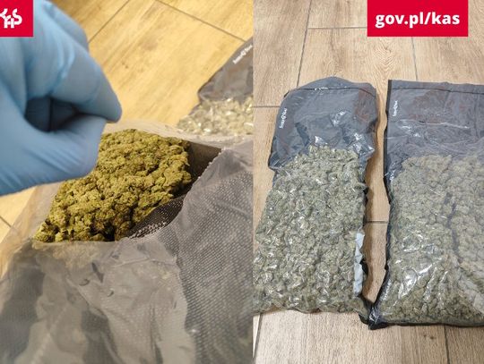 Celnicy znaleźli dwa kilo zioła w paczce lotniczej z USA. Została nadana na nieistniejący adres