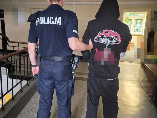 Celowo uszkodził radiowóz i inne auto. Wandal wpadł przez nagranie z monitoringu