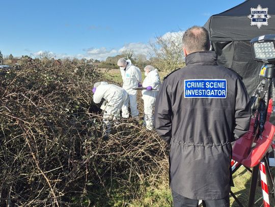 Ciało Polaka w walizce w lesie pod Londynem. Podejrzani o zabójstwo już w Polsce