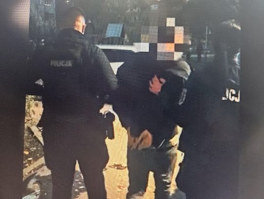 Cios w szajkę dilerów. Policjanci w jednym czasie weszli do kilku mieszkań i zatrzymali sześć osób