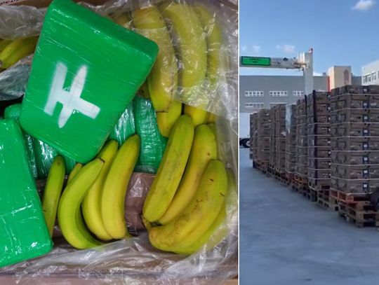 CZECHY: Blisko tona kokainy w transporcie bananów. Część trafiła do sklepów w całym kraju