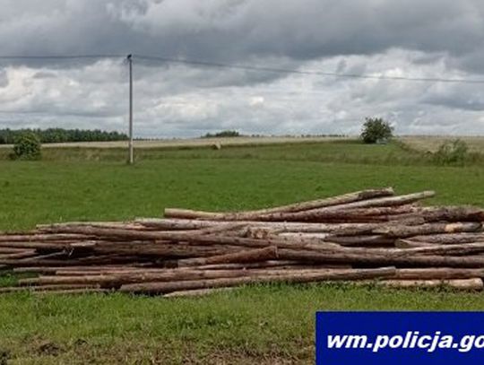 Czekał na koniec bitwy Grunwaldem, wtedy ruszył do akcji traktorem. Straty organizatora 6 tysięcy zł