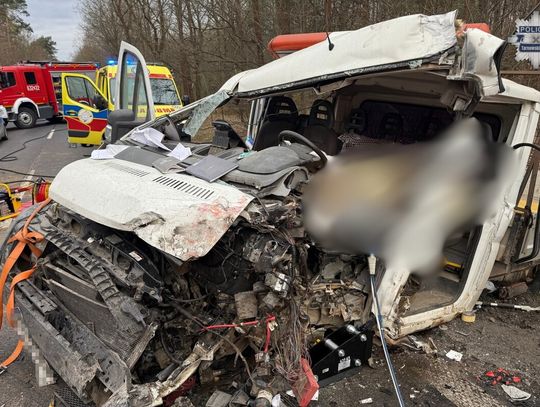 Czołowe zderzenie dostawczaka i ciężarówki. Zginęła jedna osoba, a kolejne dwie są ranne. ZDJĘCIA