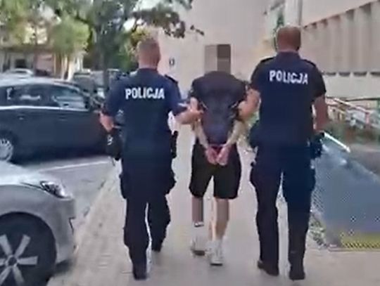Czterech nastolatków napadało na kobiety. Sterroryzowali je atrapą broni i okradli