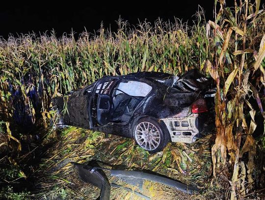 Dachowanie BMW po zderzeniu z łosiem. Jedna osoba nie żyje, trzy trafiły do szpitala