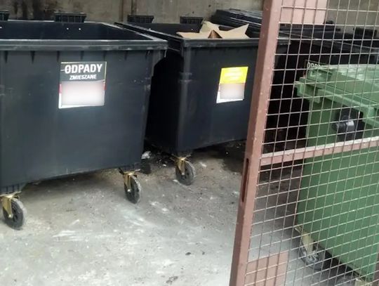 Desperacka próba ucieczki przed policjantami. 38-latek zanurkował w śmietniku, ale i tak go złapali Desperacka próba ucieczki przed policjantami. 38-latek zanurkował w śmietniku, ale i tak go złapali