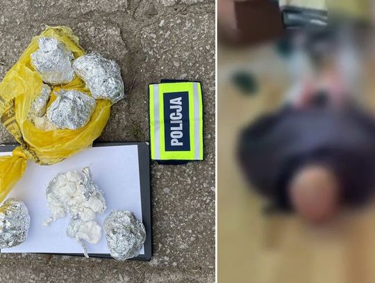 Diler dla bezpieczeństwa zakopał narkotyki w ziemi. Nie przewidział, że policjanci przyjdą z psem Diler dla bezpieczeństwa zakopał narkotyki w ziemi. Nie przewidział, że policjanci przyjdą z psem