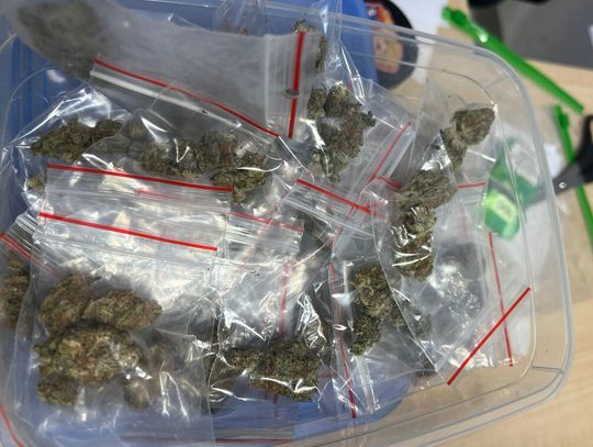 Diler spacerował nocą z kieszeniami pełnymi narkotyków. Zgubiło go nerwowe zachowanie