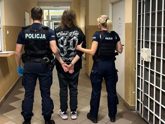 Diler trzymał marihuanę w workach po karmie dla psa. Policjanci znaleźli tysiąc porcji