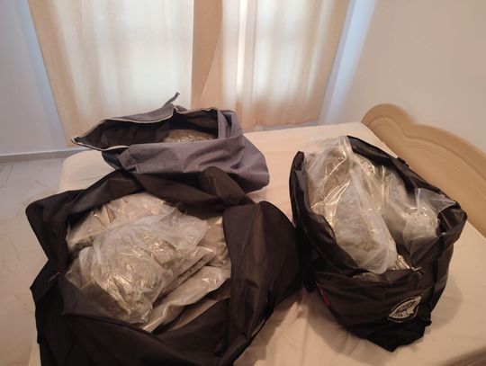 Diler ukrywał prawie 50 kg narkotyków w mieszkaniu. Po akcji policji stracił towar warty. WIDEO