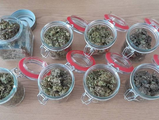 Dilerzy zatrzymani jeden za drugim. Policjanci znaleźli marihuanę w słoikach i inne narkotyki