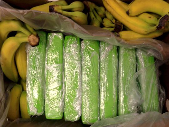 Do sklepów mogły trafić pudła z bananami i kokainą. Policja namierzyła przemyt