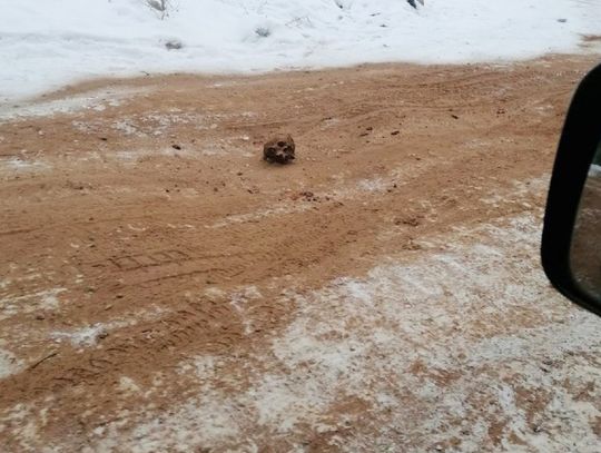 Drogowcy posypali oblodzoną jezdnię ziemią wymieszaną z ludzkimi kośćmi. Makabryczny widok