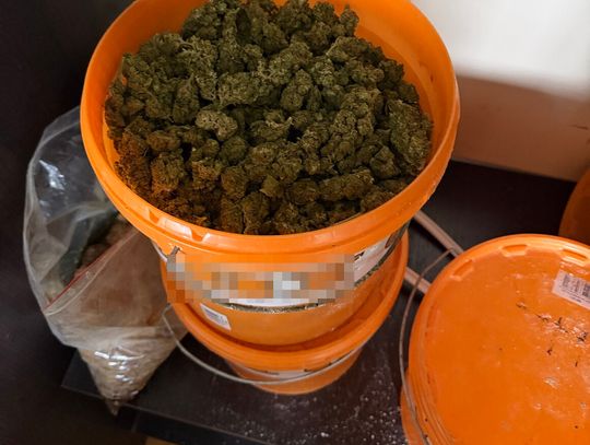 Dwaj 20-latkowie zatrzymani z 85 kilogramami narkotyków. Towar był wart ponad 5,5 miliona złotych