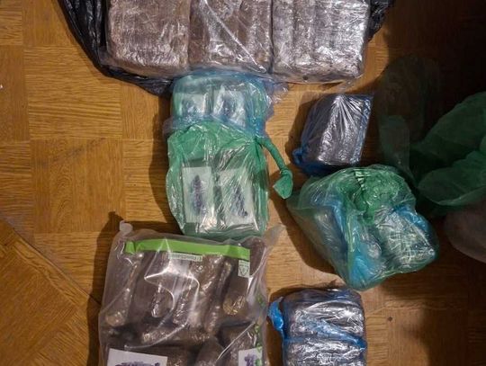 Dwaj dilerzy namierzeni przez policję. 39-latkowie mieli blisko 30 kilogramów narkotyków
