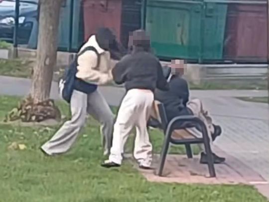 Dziewczynki pobiły mężczyznę siedzącego na ławce w parku. Zaatakowały go patykami