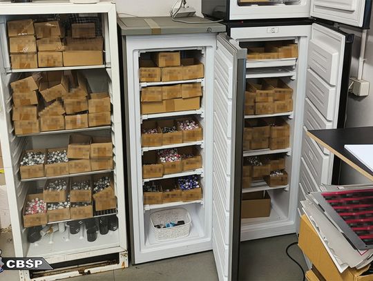 Fabryka anabolików zlikwidowana. Gang zarobił ponad 7,5 mln zł – 8 osób w rękach CBŚP [ZDJĘCIA]