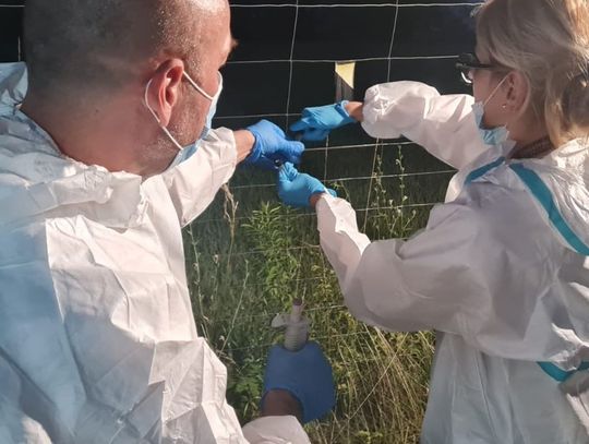 Fabryka narkotyków na poddaszu nowego domu. Zatrzymany chemik i przejęte duże ilości towaru