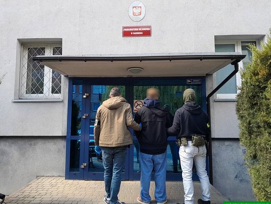 Fałszywi studenci na celowniku Straży Granicznej. Rozbito fabrykę „lewych” zaświadczeń