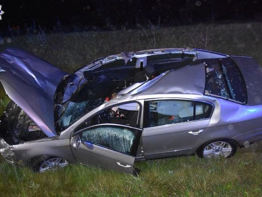 Fatalne skutki zderzenia z łosiem. Zwierzę wbiegło w osobówkę, a potem wpadło pod ciężarówkę