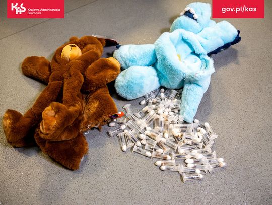 Fiolki z żywymi mrówkami w pluszakach. Szokujące odkrycie w przesyłkach lotniczych