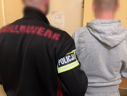 Gaz w twarz, pobicie i atak na policjanta. Trzech nastolatków z zarzutami