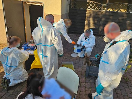 Gigantyczne laboratorium narkotykowe zlikwidowane. 35-latek w rękach służb