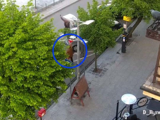 Groził ludziom pistoletem i strzelał na ulicy. Policjanci obezwładnili mężczyznę