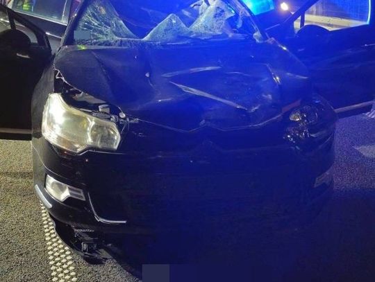 Groźne zderzenie na ekspresówce. Samochód uderzył w łosia, dwie osoby zostały ranne