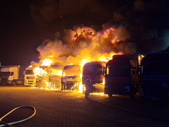 Groźny pożar na terenie prywatnej firmy. Spłonęło sześć zestawów ciężarowych [FOTO]