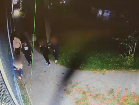 Grupa nastolatków zaatakowała starszych chłopaków w parku. Otoczyli ich i brutalnie pobili