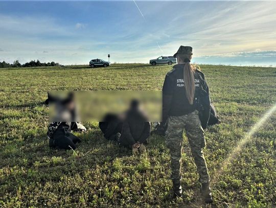 Grupa siedmiu mężczyzn nielegalnie weszła do Polski z Litwy. Zostali zatrzymani i zawróceni