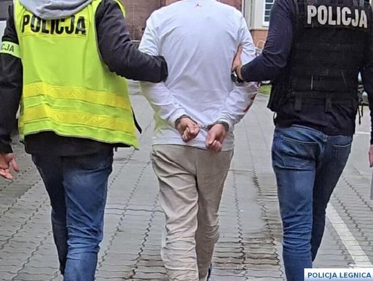 Gruzini zatrzymani za seryjne kradzieże. Jeździli po całej miastach w całej Polsce