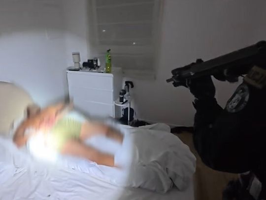 Handel ludźmi, prostytucja, narkotyki i wyłudzenia. Służby rozbiły gang działający na terenie kraju