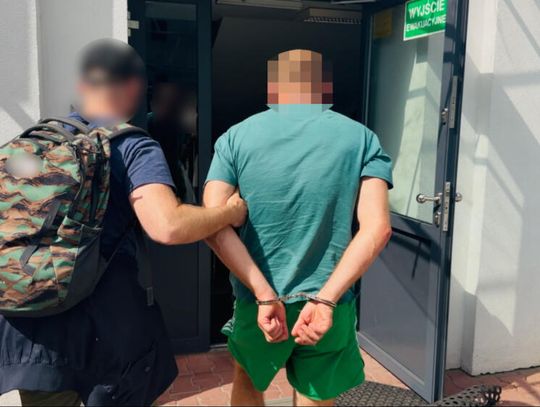 Handlowali częściami z kradzionych samochodów. Policja przejęła ogromny transport