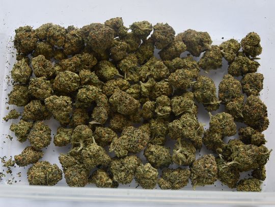 Haszysz, marihuana i tabletki w mieszkaniu 21-latka. Policjanci dostali adres i zatrzymali dilera