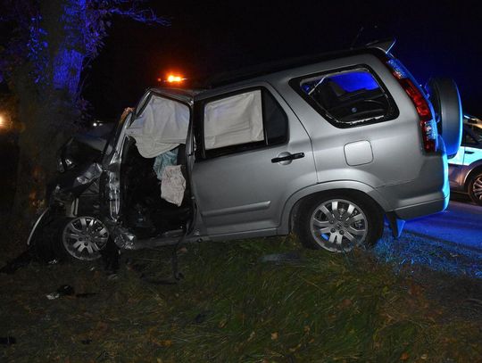 Honda wypadła z drogi i uderzyła w drzewo. Pasażerka zginęła, kierowca jest ciężko ranny